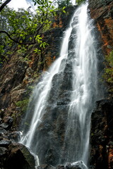 Obraz premium Majestic Purling Brook Falls cascading down high vertical cliffs in Springbrook National Park