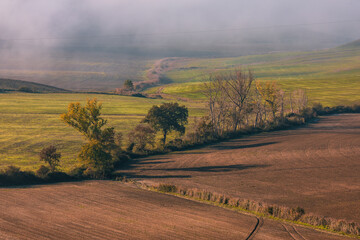 Fototapeta premium Tuscan countryside fields in autumn mist dividing agricultural land, Asciano, Italy.