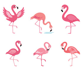 Obraz premium Pink Flamingo Collection Cartoon Bird Set Colorful Tropical 2D Vector Illustration 