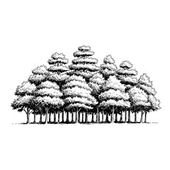 Fototapeta premium Compact Forest Canopy and Textured Woodland Composition, Hand Drawn Densely Grouped Mature Trees with Detailed Leaf Shading and Realistic Trunks Vector Illustration