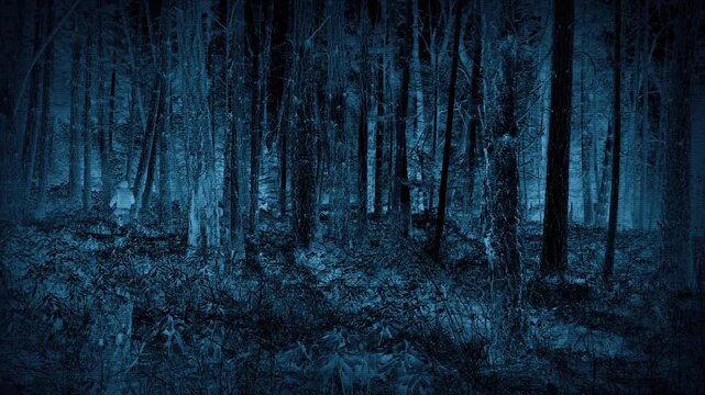 CCTV Anonymous Person Runs Through The Woods
