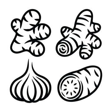 Herbal spice and vegetable icon set with ginger garlic and root ingredient outlines