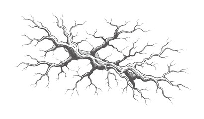 Fototapeta premium Ink of a bare gnarled tree branch structure