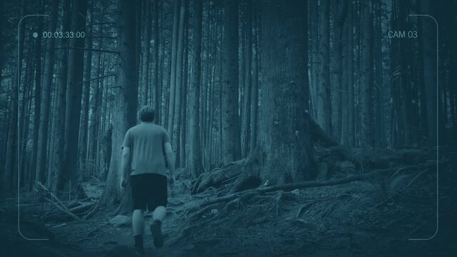 CCTV Man Walking Past Forestcam