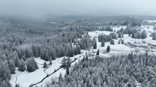 Peat bog mountain winter ice upland lake Jeseniky pool wetland swamp aerial drone shot during natural form spruce tree Picea forest snow frost cold cool ice tundra biome frigid temperature birds eye