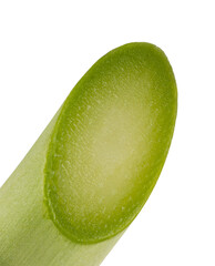  fresh green asparagus stalk cut isolated on transparent background png © Sviatlana Zhornava