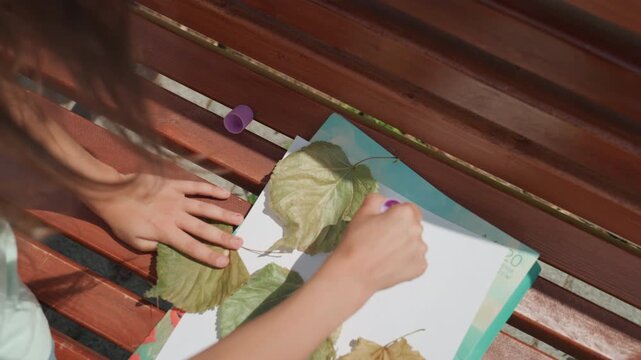 Young girl traces leaf shapes on paper outdoors. Child uses marker to outline leaves during summer park activity. Children engage in outdoor learning by drawing leaf outlines on paper with markers
