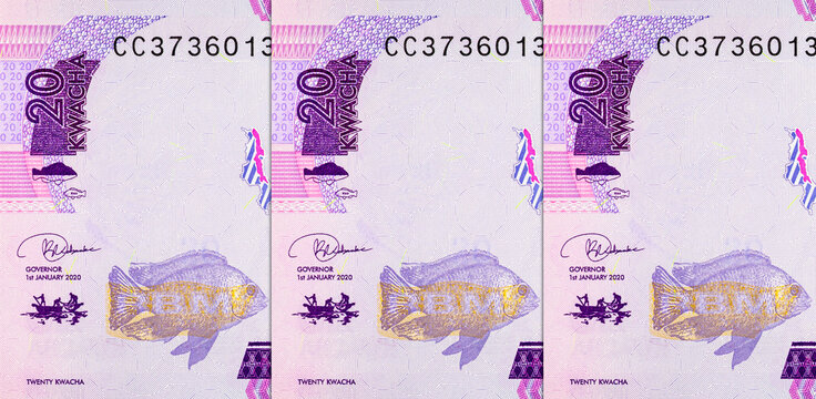 Close-up of Malawi 20 Kwacha Banknote featuring Inkosi Ya Makhosi M'mbelwa II. Malawi and African Money.