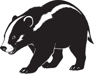 Aggressive Badger Walking Forward With Distinct White Stripe Markings © Khilal