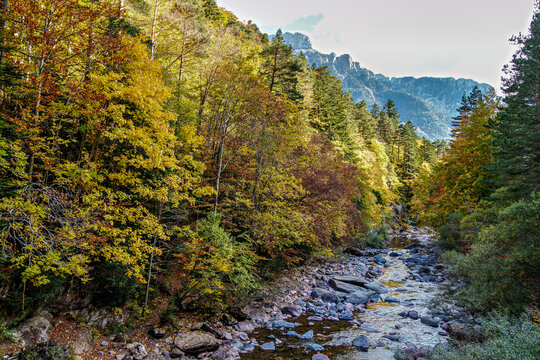 Driving through the Selva de Oza forest in Valley of Hecho, Aragonese Pyrenees, Huesca Province in Spain