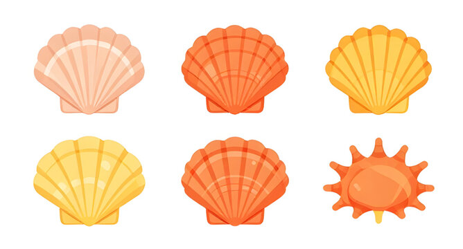 seashell collection illustration, shell set illustration, colorful shells illustration, vibrant shells illustration, beach shells illustration, ocean shells illustration, sea shells illustration, mari