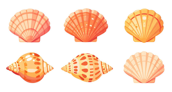 seashell collection illustration, shell set illustration, colorful shells illustration, vibrant shells illustration, beach shells illustration, ocean shells illustration, sea shells illustration, mari