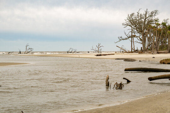 Stormy weather on a remote beach with fallen trees and calm waters in the distance