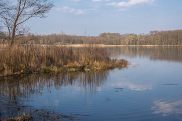 Fototapeta premium Winter natural scenery with breeding pond and trees near Neratov in Czech republic, reflections in the water, blue sky
