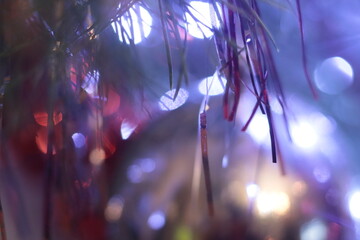 Ozboby świąteczne © Renata