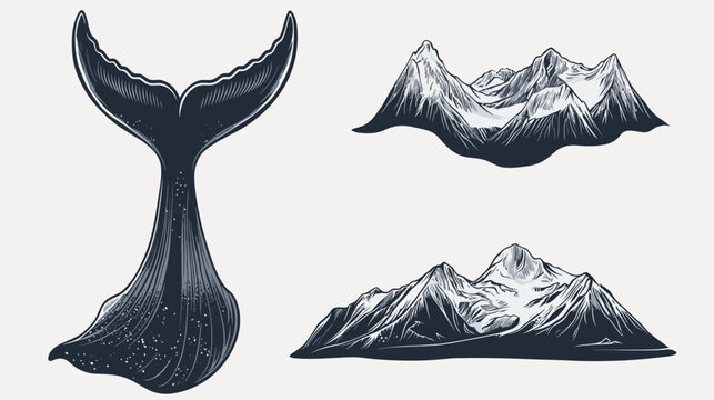 Stylized monochrome drawings of a whale tail and mountainous landscapes. Nature-inspired graphics