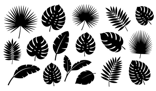 Black jungle leaf vector set tropical rainforest palm botanical silhouettes