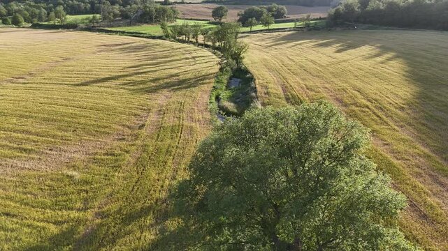 Campos agricolas y riachuelo con &aacute;rboles a vista de drone