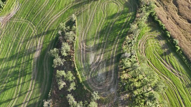 Campos agricolas y riachuelo con &aacute;rboles a vista de drone