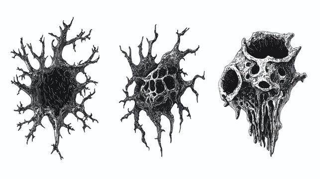 Three abstract, monochrome illustrations on white background resembling organic forms and skull-like structures