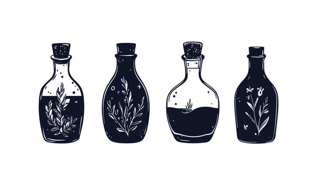 Artistic vector illustration of four different apothecary bottles with botanical elements