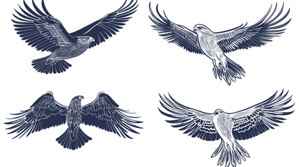 Obraz premium Four graphic depictions of majestic birds of prey in various soaring poses