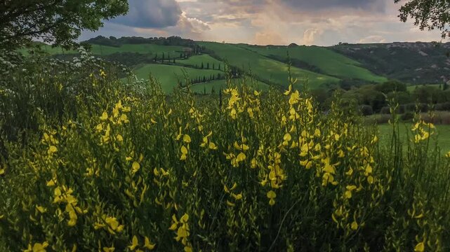 toscana, vista di prati verdi e cielo colorato