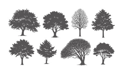 Fototapeta premium Collection of eight dark grey tree silhouettes white trees nature