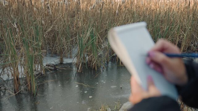 Close up hands sketching marsh reeds, field observer taking careful notes in small notebook with pen, soft golden light on tall cattails and still pond, contemplative mood, damp shoreline textures,