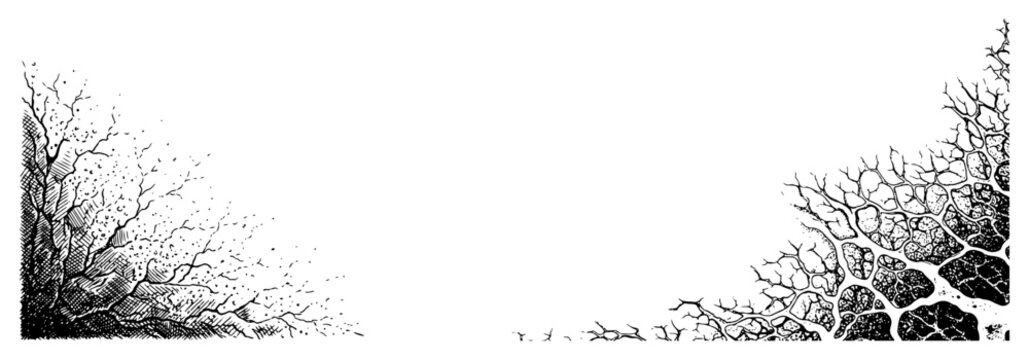 Organic root and vein patterns growing from corners in vintage engraving style