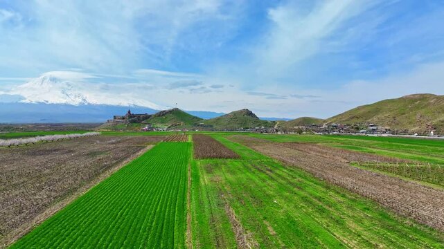Aerial view of vibrant green crop fields stretching toward distant hills. Snow-capped mountain peaks rise under a bright blue sky with wispy clouds. Fields show rows of young plants, some bare soil