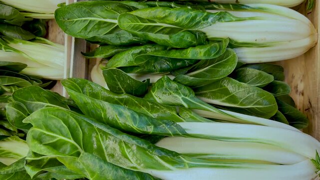 Swiss chard (scientific name Beta vulgaris) displayed in crates at the greengrocer, tracking shot from top view