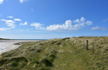 Machair Growing Beside a White Sand Beach in Scotland © dejavudesigns