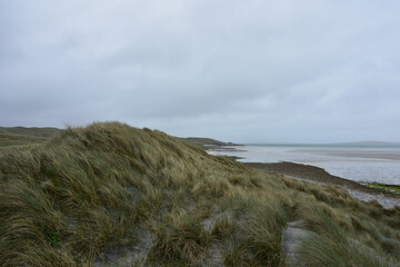 Machair Growing Along the Sea Coast in the Hebrides © dejavudesigns