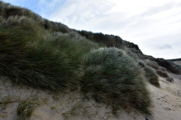 White Sand Beach with Machair Growing in Hebrides © dejavudesigns