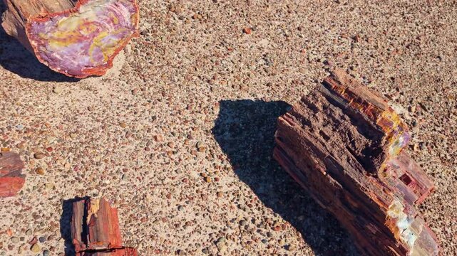 Detailed close view of vibrant petrified wood textures along Crystal Forest Trail in Petrified Forest National Park Arizona