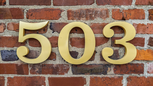 The number 503 in gold on an old brick wall.