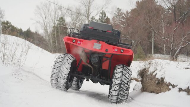Red atv climbing snowy bank, front wheels dig and suspension flex, engine torque struggles upward, closeangle shows tread and axle motion, rider manages throttle and balance during extreme offroad