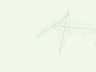 Fototapeta premium Leaf Vein Branch Pattern Natural Plant Design Wallpaper
