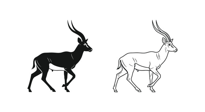 Antelope Species Comparison Guide Vector