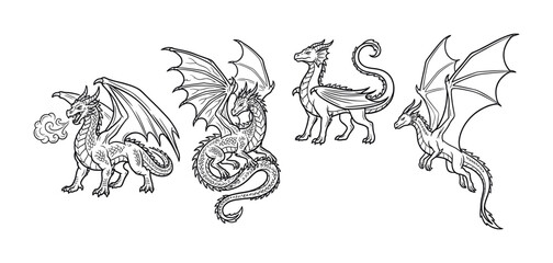 A set of mythical dragon line art illustrations. Fantasy creatures for tattoos, coloring books or emblems. Black and white vector graphic monster collection. © EchoHue