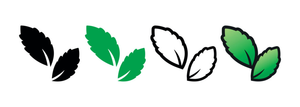 Stevia Sweet Green Plant Leaves Vector Icons Set on White Background. Sugar Substitute. Organic, Bio and Ecological Icon. Health Care Logo Element.