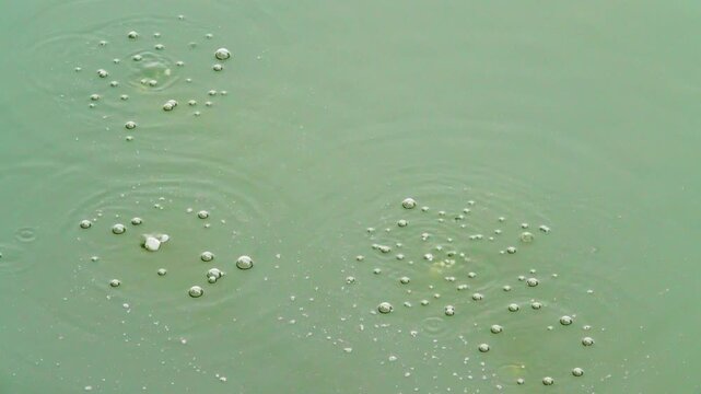 Emission of firedamp. The release of methane on the tropical eutrophicated pond. A gas bubbles