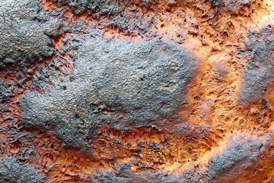 maillard reaction, bread crust
