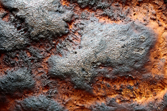 maillard reaction, bread crust