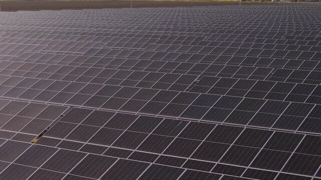Top Down View of Solar Panel Rows at Sunset Renewable Energy Drone Shot