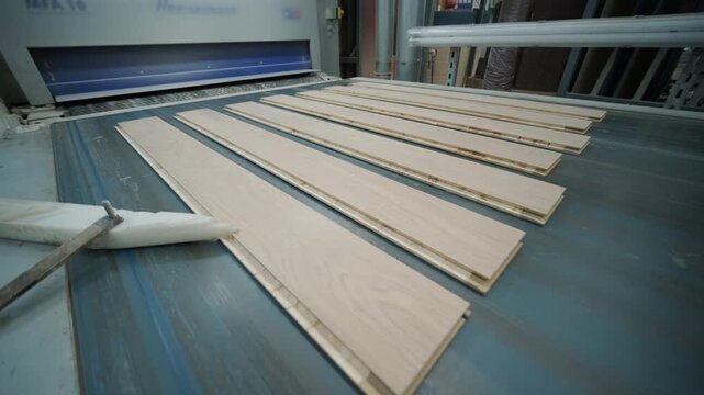 Close-up of an automated production line with timber slats in motion within a modern wood processing facility
