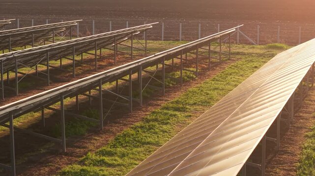 Solar Panel Farm Wide Angle Drone Shot Sustainable Energy Infrastructure