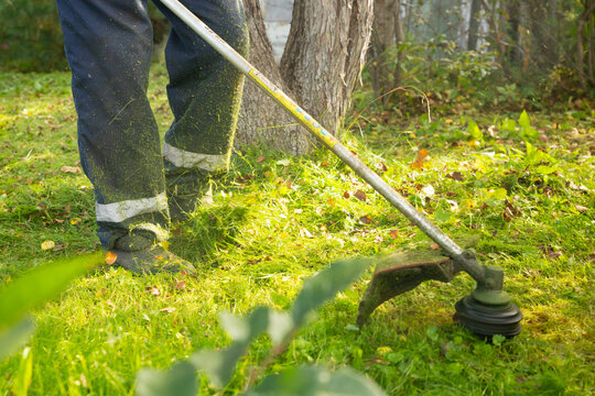 Gardener using string trimmer to cut grass in garden. Man mowing lawn with weed whacker. Professional landscaping work and maintenance of backyard. Seasonal yard care and gardening concept.
