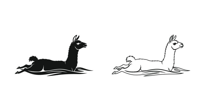 Llamas vs Alpacas Resting Positions Guide Vector